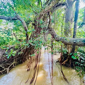 https://sigiriya-river-side-villa.kandyhotelsnow.com